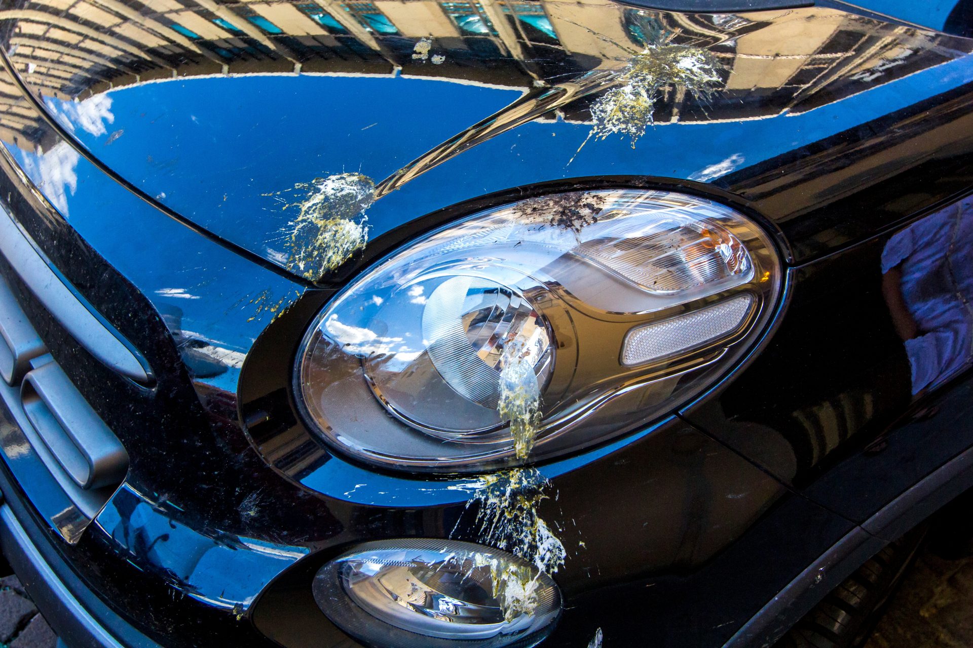 Shutterstock 1129795094